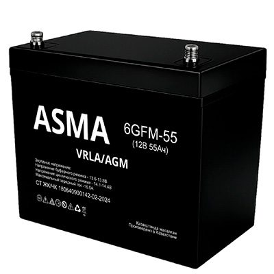 Аккумуляторная батарея AGM-55 Ah